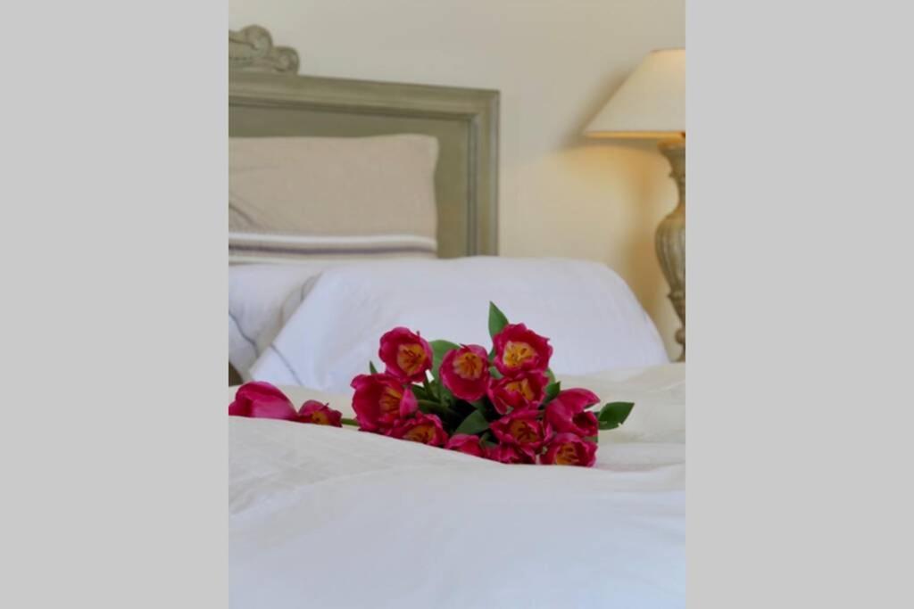 Bord De Mer - Ac, Wifi, Chic, Sea View, Beach 2 Minutes Walk Антиб Екстериор снимка